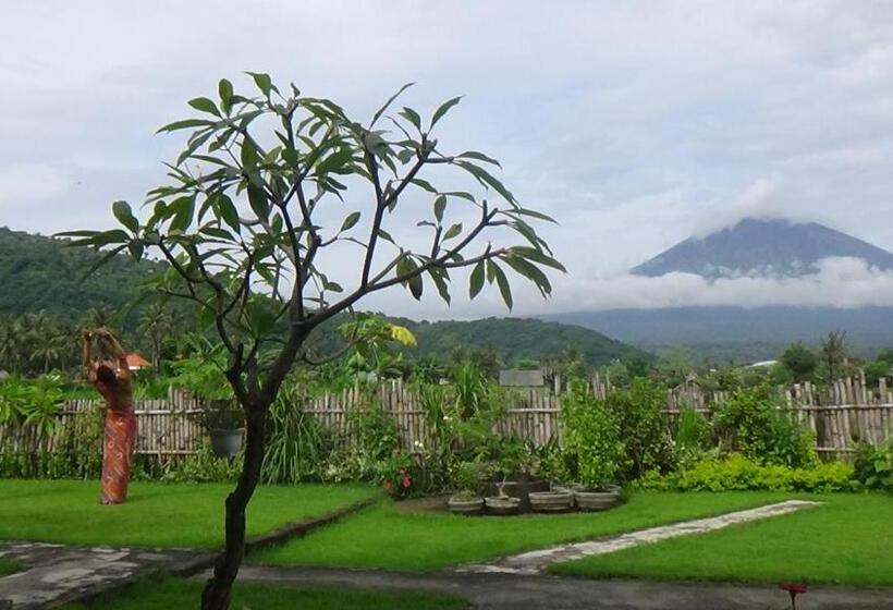 ユースホステル Agung Inn Amed