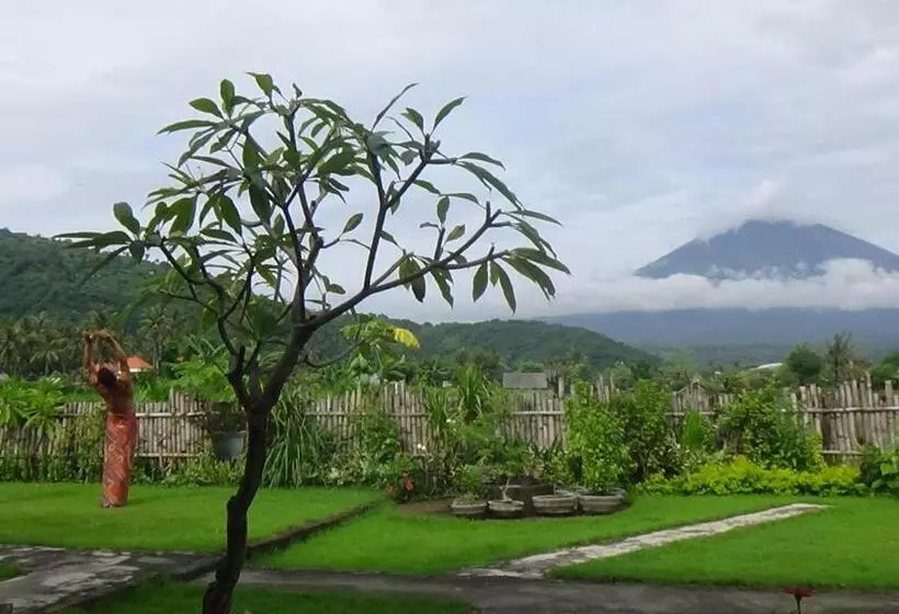 ユースホステル Agung Inn Amed