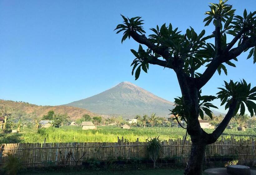 ユースホステル Agung Inn Amed