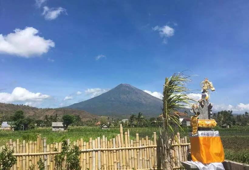 ユースホステル Agung Inn Amed