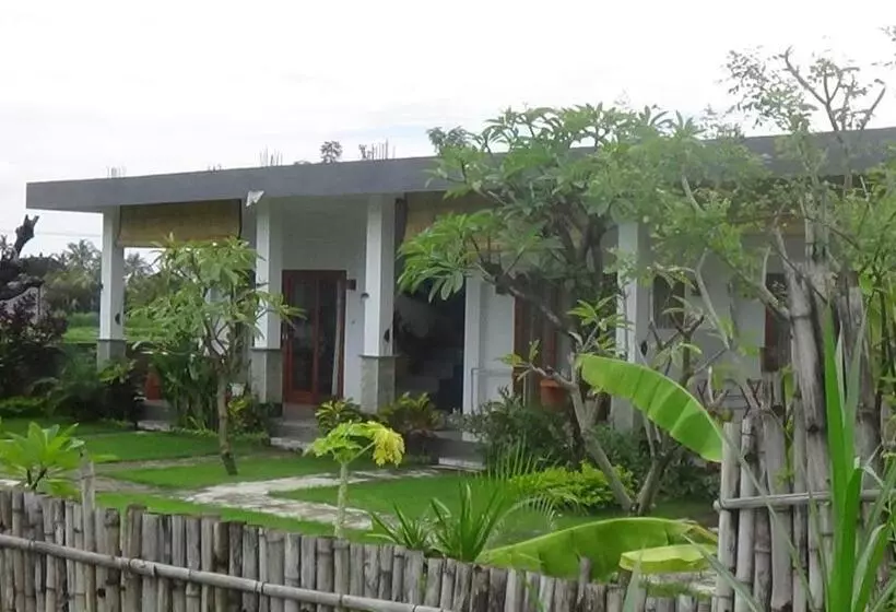 ユースホステル Agung Inn Amed