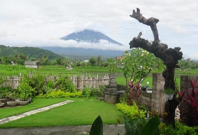 ユースホステル Agung Inn Amed