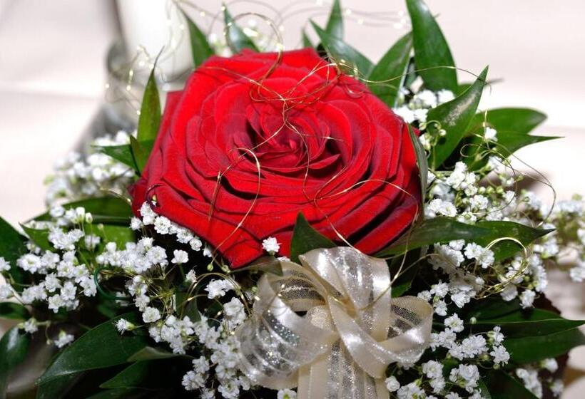 ユースホステル Pension Anneliese