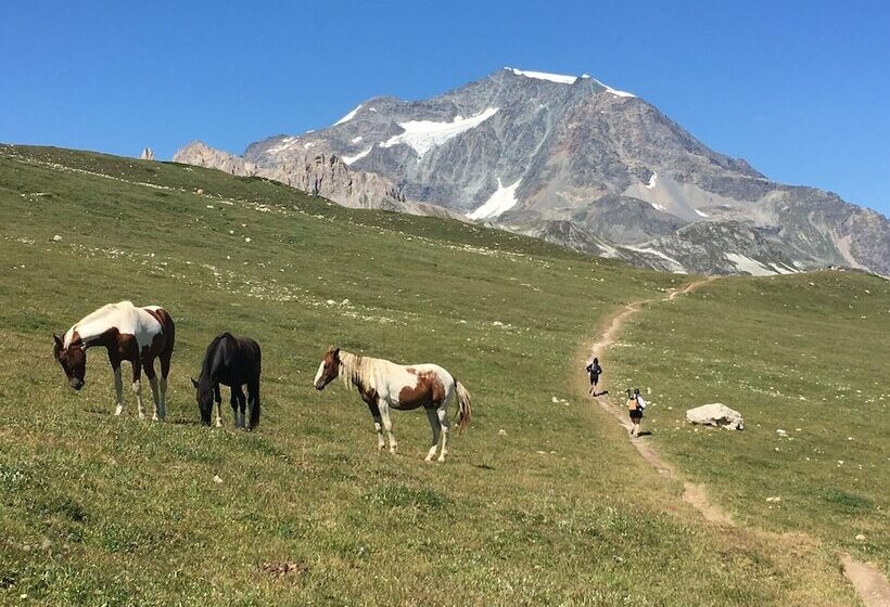 Chalet Hotel L’ecrin