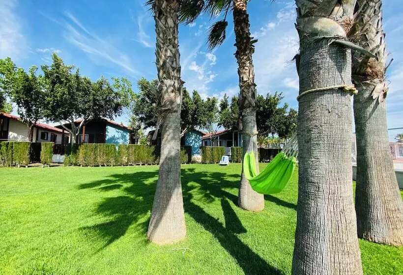 Hotelli Camping Lo Monte