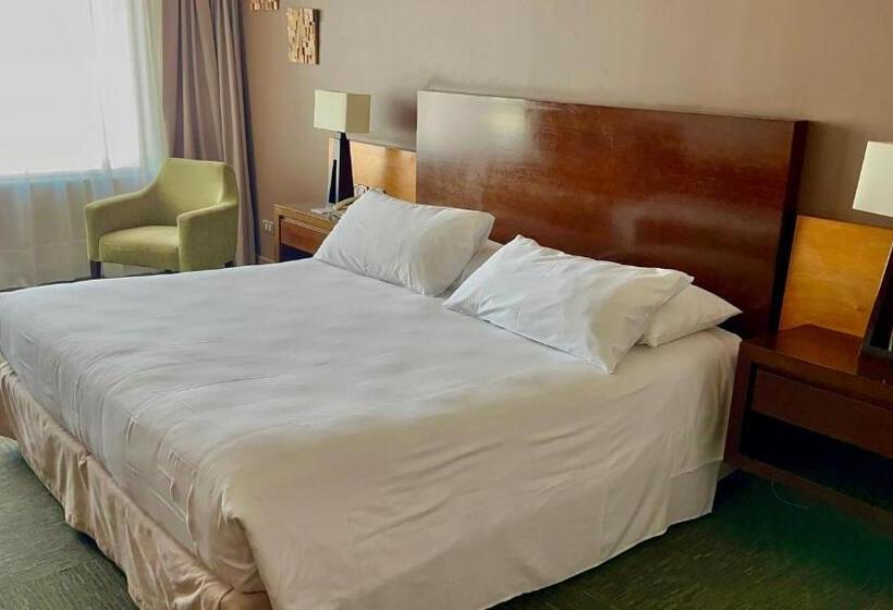 فندق Alto Del Sol Calama