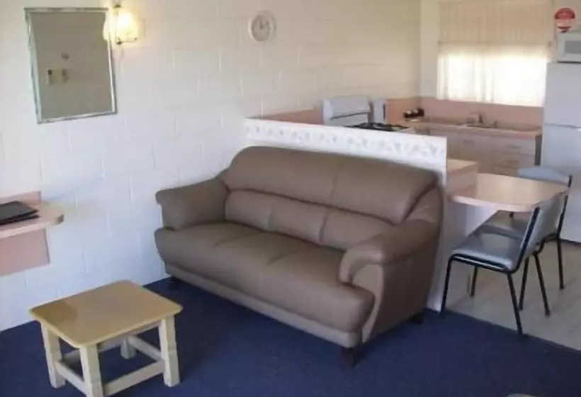 ホテル Black Swan Motor Inn