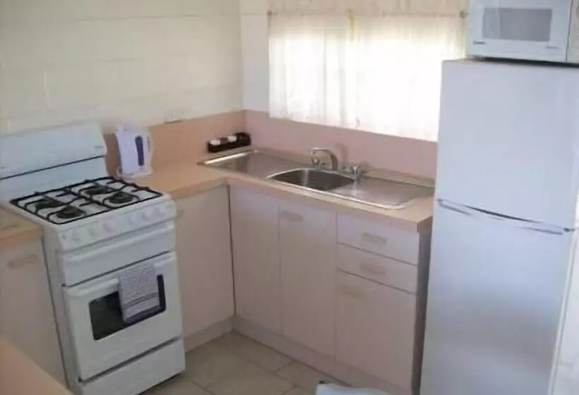 ホテル Black Swan Motor Inn