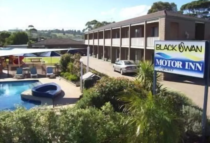 ホテル Black Swan Motor Inn