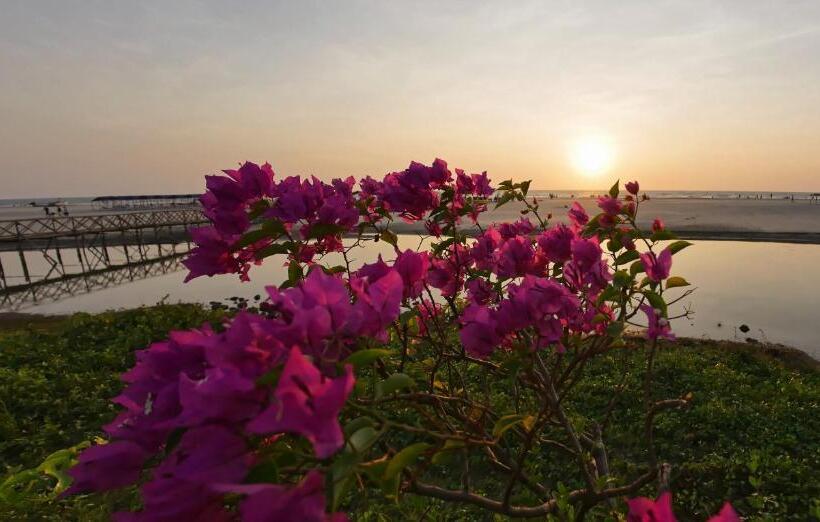 Beach Street Eco Resort & Spa