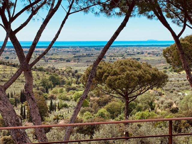 ホテル Podere Il Castellaccio