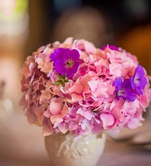 Park Lodge Bed And Breakfast