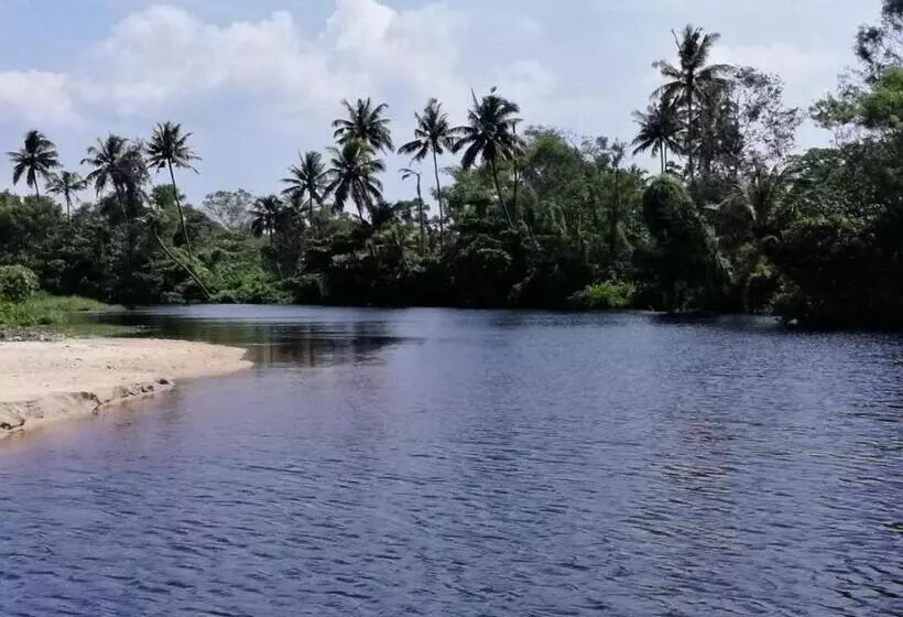 Majatalo Marari Lotus Beach Villa
