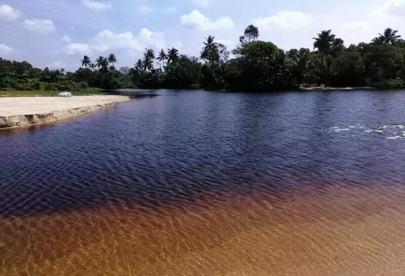 Majatalo Marari Lotus Beach Villa
