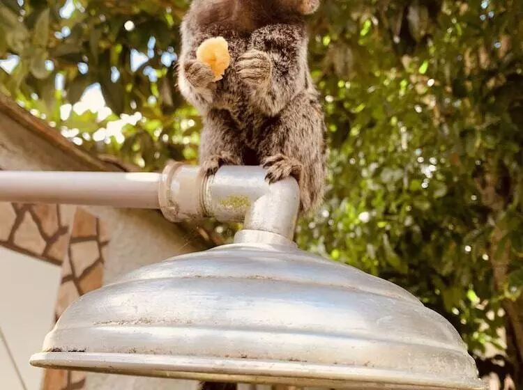 ペンション Pousada Luamar