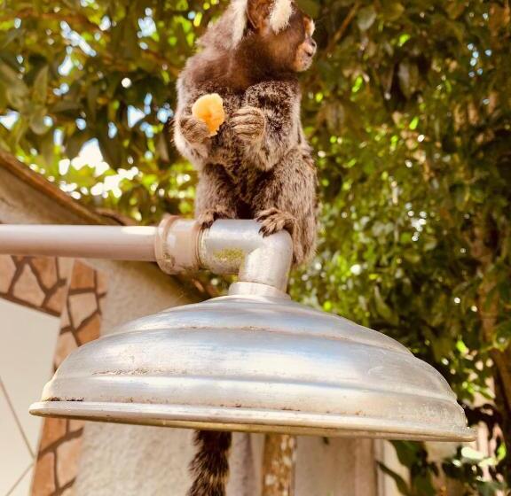 پانسیون Pousada Luamar