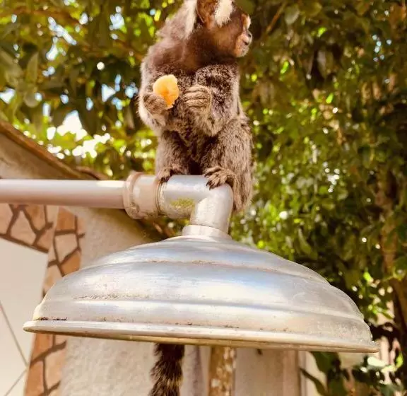 ペンション Pousada Luamar