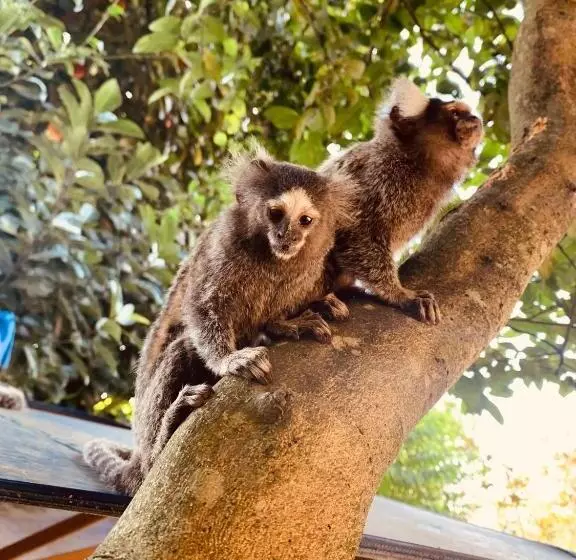 ペンション Pousada Luamar