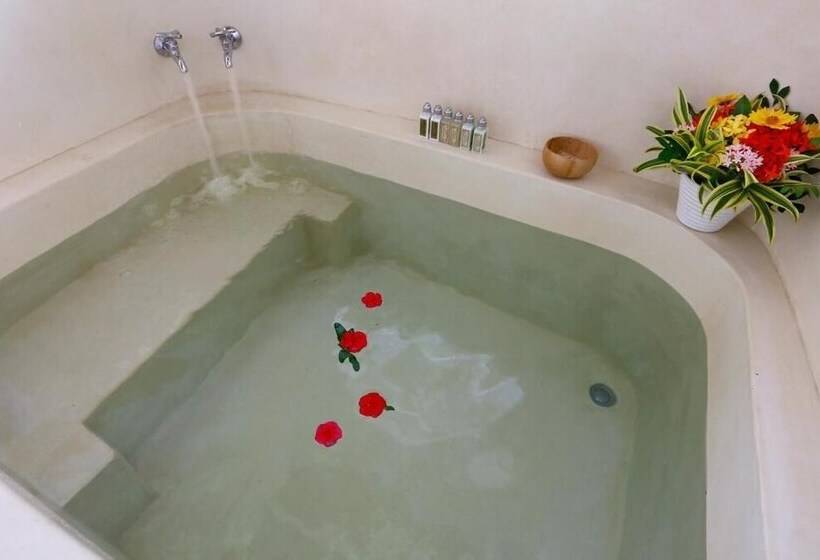 Pension Pousada Tangará