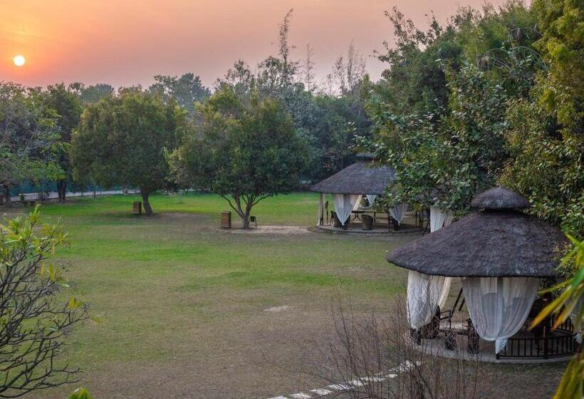 استراحتگاه Aahana The Corbett Wilderness