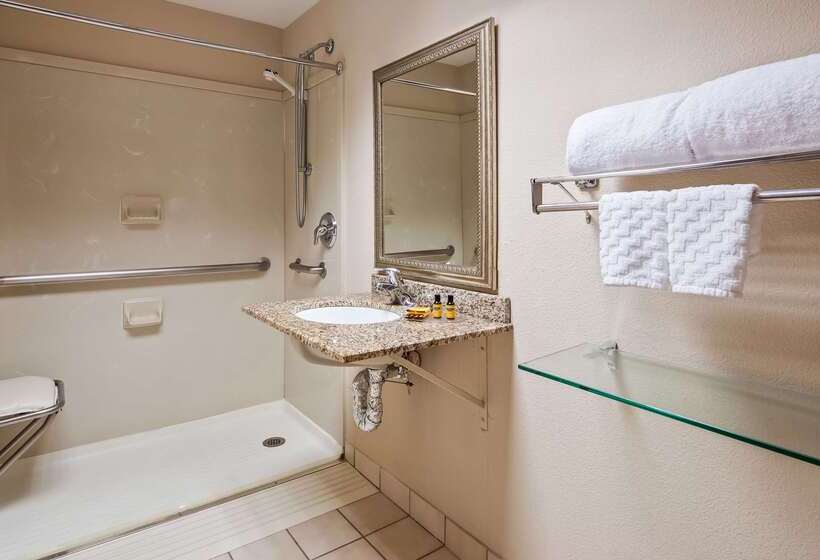 Отель Best Western Plus Chicago Hillside