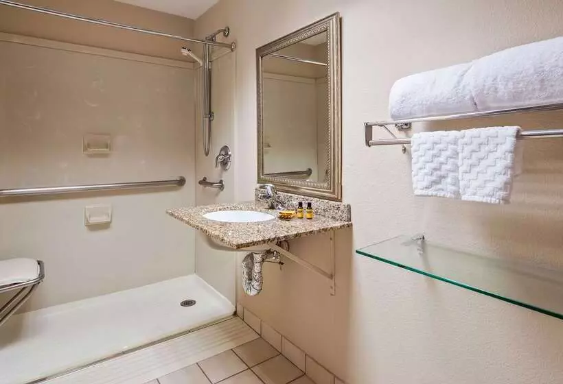 هتل Best Western Plus Chicago Hillside