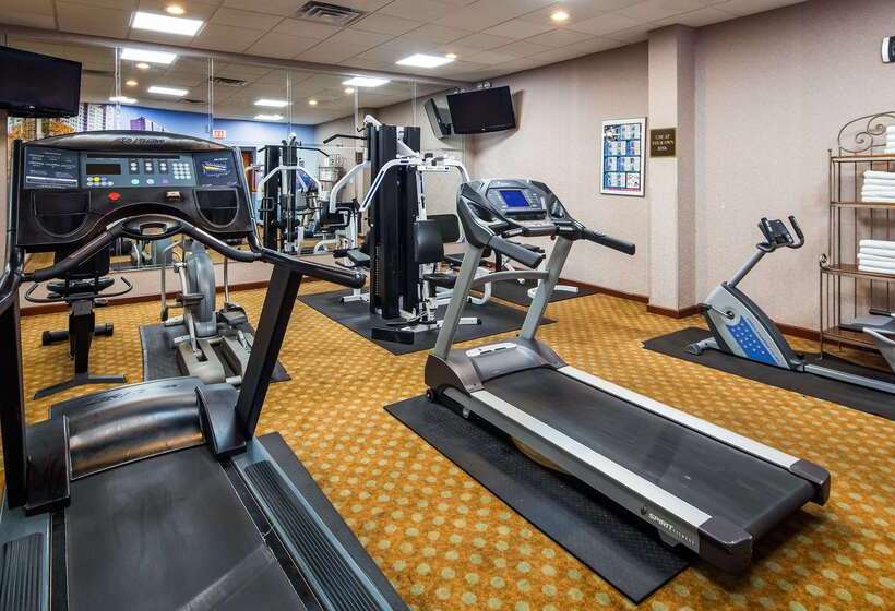 Отель Best Western Plus Chicago Hillside