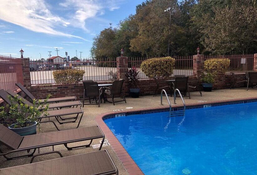 酒店 Best Western Rayne Inn