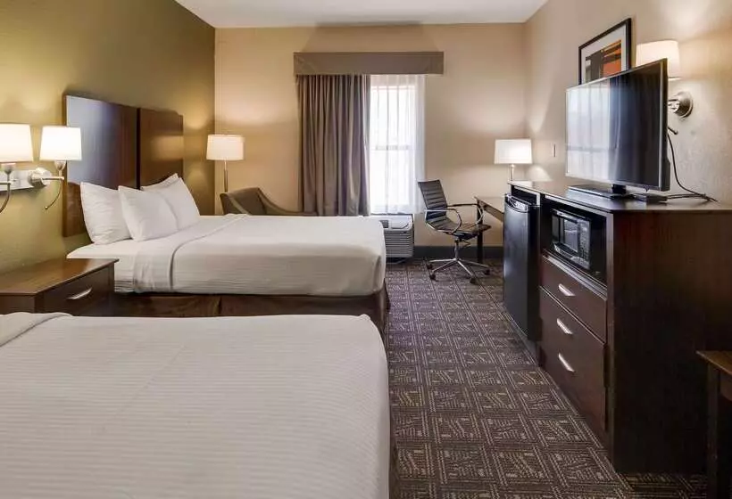 酒店 Best Western Rayne Inn