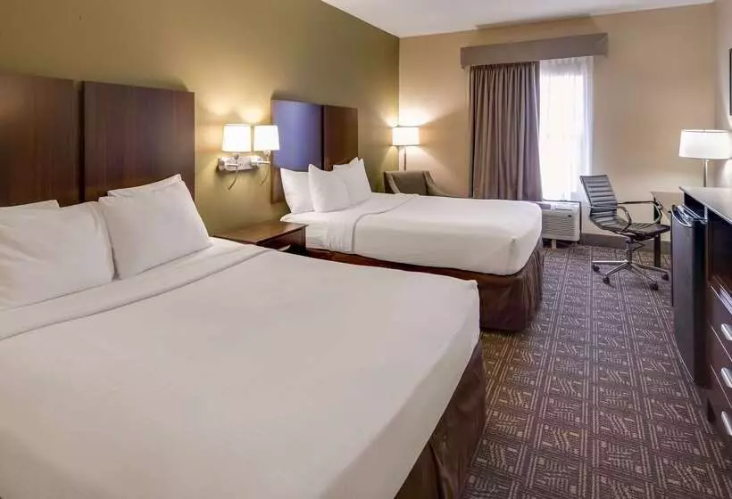 酒店 Best Western Rayne Inn