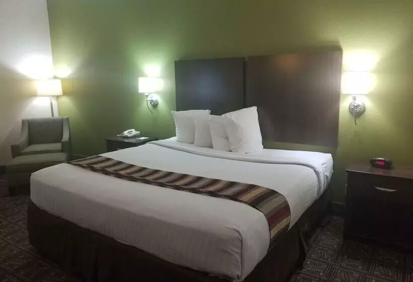 酒店 Best Western Rayne Inn