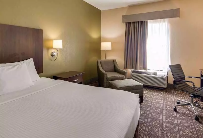 酒店 Best Western Rayne Inn