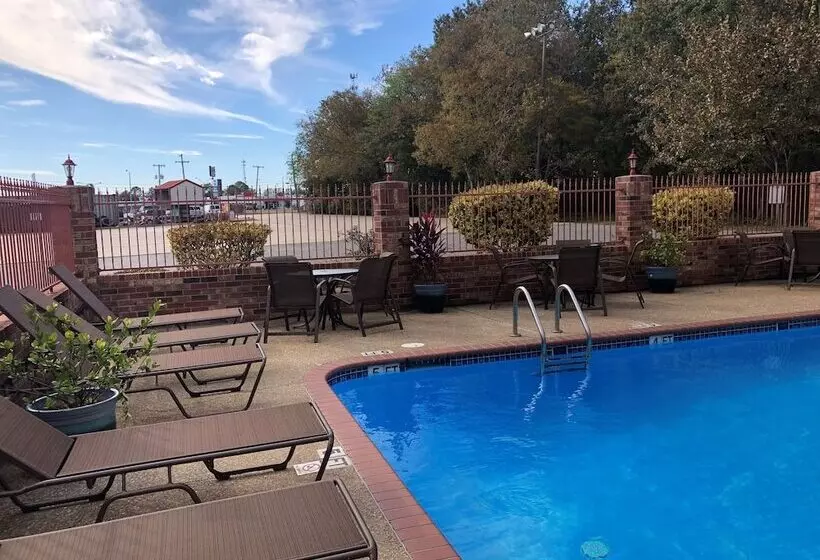 酒店 Best Western Rayne Inn