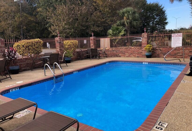 酒店 Best Western Rayne Inn