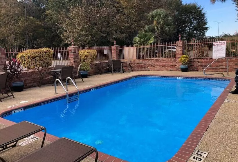 酒店 Best Western Rayne Inn