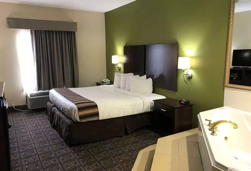 酒店 Best Western Rayne Inn