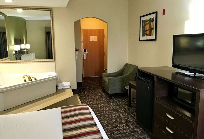 酒店 Best Western Rayne Inn