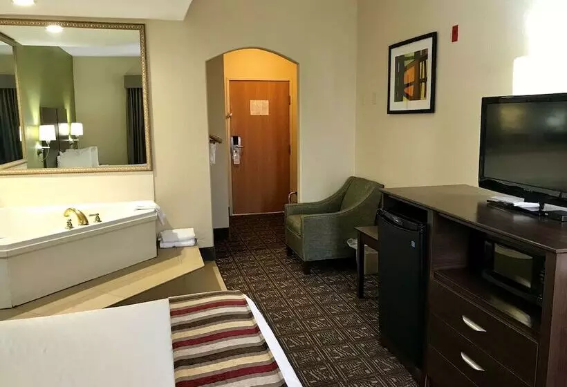 酒店 Best Western Rayne Inn