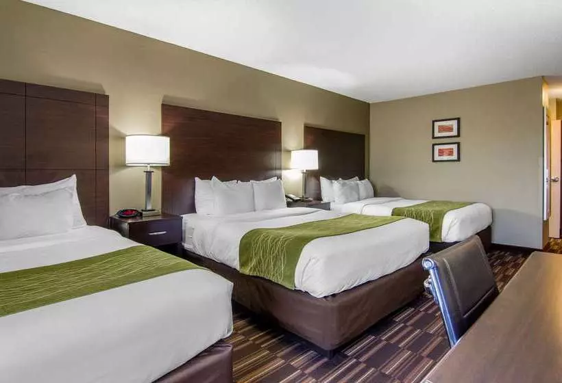 هتل Comfort Inn & Suites Kansas City   Northeast
