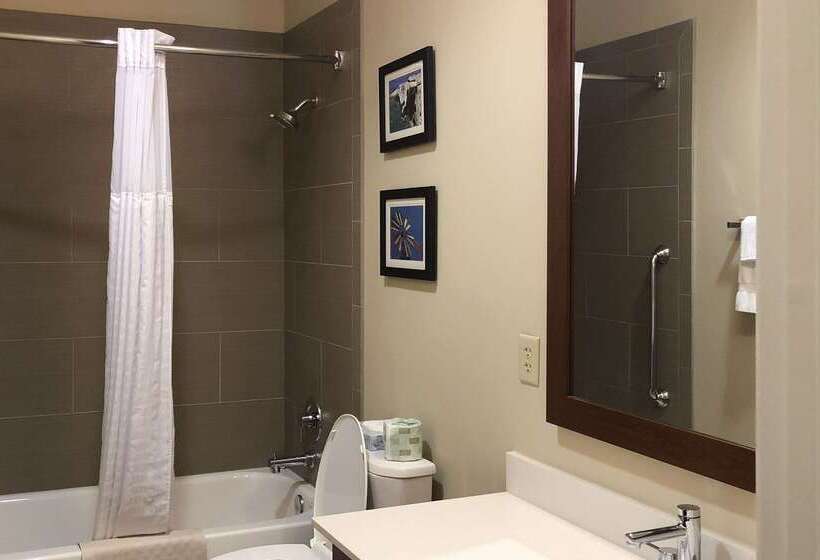 酒店 Comfort Inn Early Brownwood