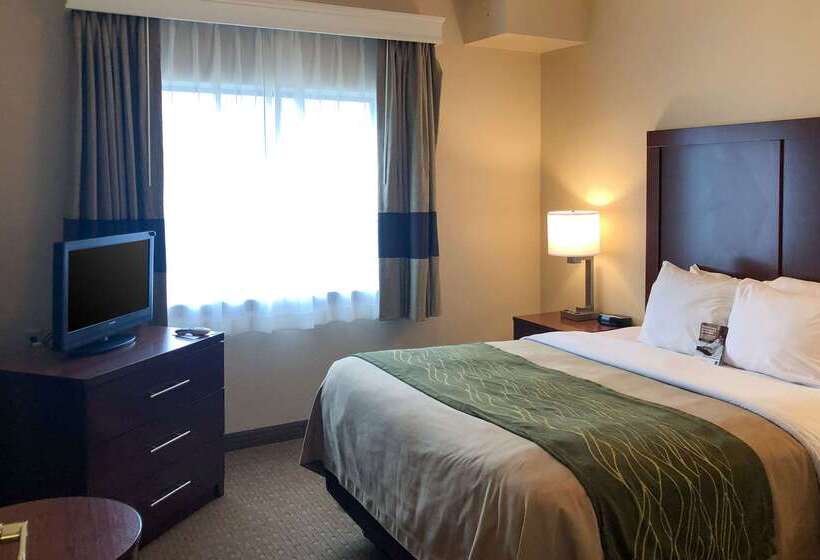 酒店 Comfort Inn Early Brownwood