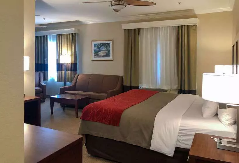 هتل Comfort Inn Early Brownwood