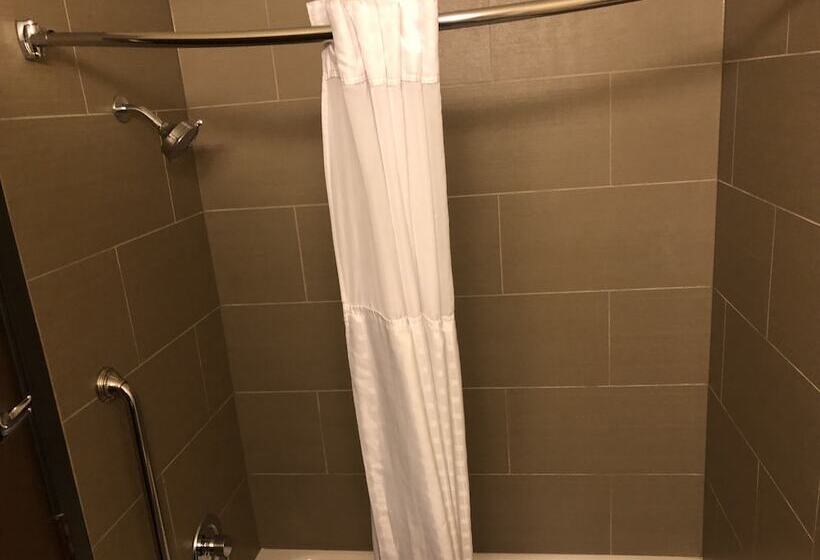 酒店 Comfort Inn Early Brownwood