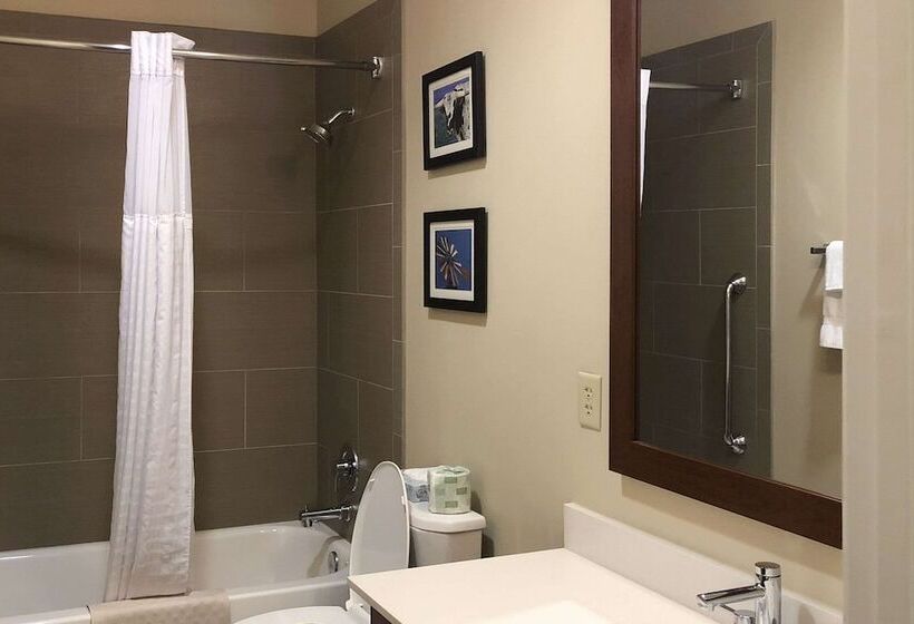 酒店 Comfort Inn Early Brownwood