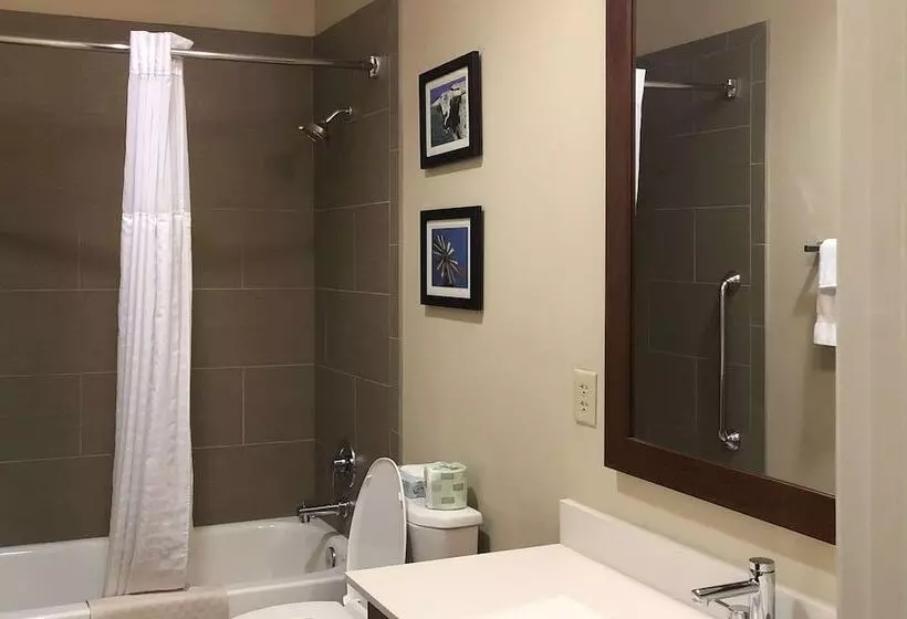 هتل Comfort Inn Early Brownwood