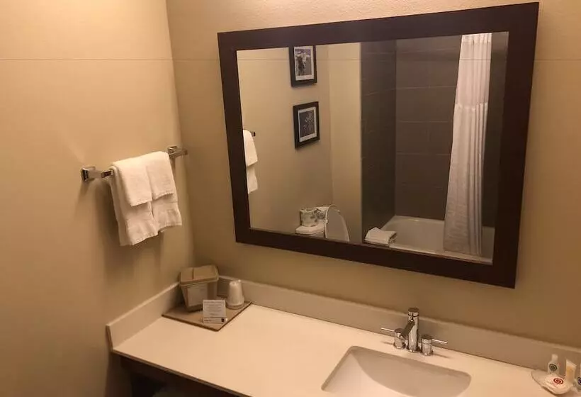 هتل Comfort Inn Early Brownwood