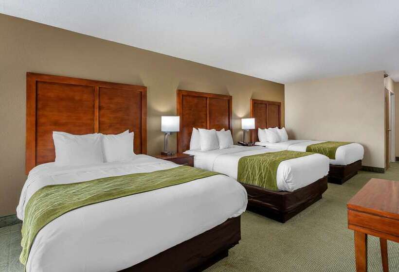 ホテル Comfort Inn Muscatine Near Hwy 61