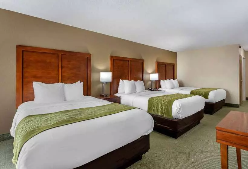 酒店 Comfort Inn Muscatine Near Hwy 61