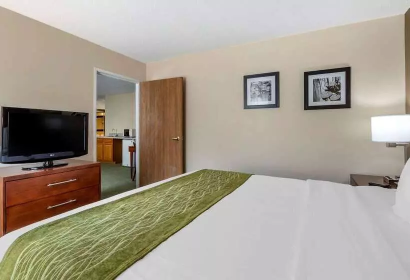 酒店 Comfort Inn Muscatine Near Hwy 61