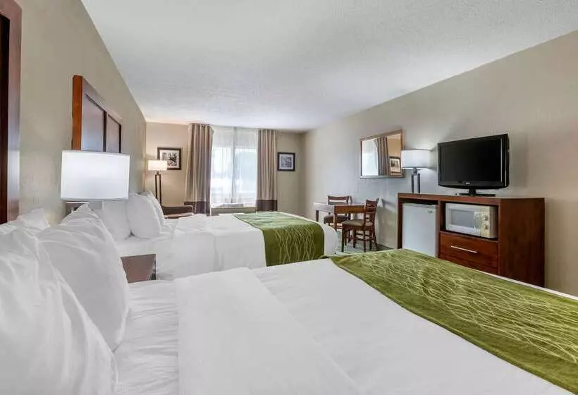 酒店 Comfort Inn Muscatine Near Hwy 61